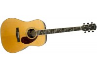 Fender PM-1 Deluxe Dreadnought - NA