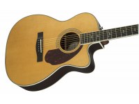 Fender PM-3 Deluxe Triple 0 - NA