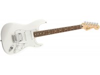 Fender Standard Stratocaster HSS - RW AW