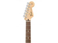 Fender Standard Stratocaster - RW CAR