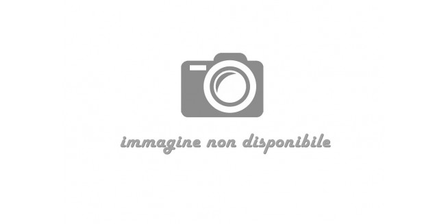 Mesa Boogie 2x12 California Tweed & Fillmore Cabinet Slip Cover