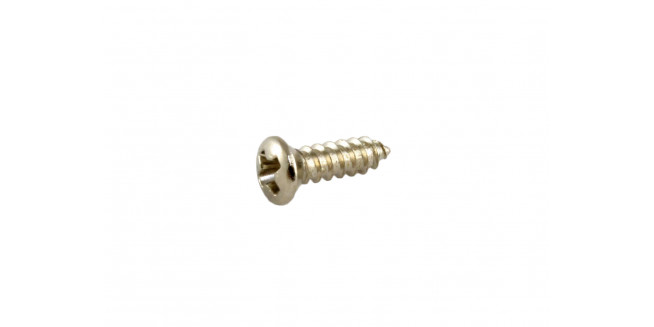 Allparts Gibson® Size Pickguard Screws - NH