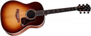 Taylor Gold Label 917e - SB