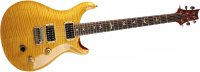 Paul Reed Smith Custom 24 - VY