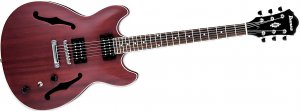 Ibanez AS53 - TFR