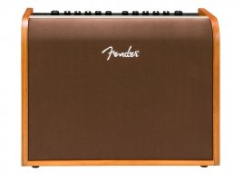 Fender Acoustic 100