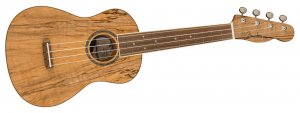 Fender Zuma Exotic Concert Ukulele - SM