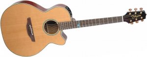 Takamine TSF40C Legacy Series Santa Fe