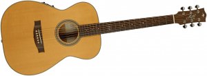 Maton Master Built T.E. Personal
