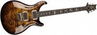 Paul Reed Smith Custom 24 - BGB