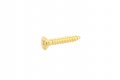 Allparts Short Humbucking Ring Screws - GH