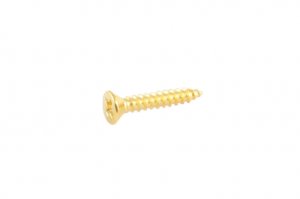 Allparts Short Humbucking Ring Screws - GH