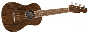 Fender Zuma Exotic Concert Ukulele - BO