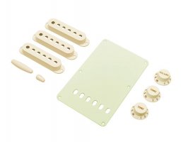 Fender Stratocaster Accessory Kit - AW