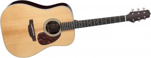 Takamine EF360S-TT Thermal Top