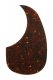 Allparts Acoustic Pickguard - Tortoise