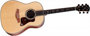 Taylor Gold Label 917e - NA