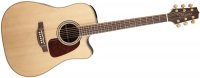 Takamine GD71CE - NAT