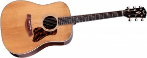 Taylor Gold Label 710e
