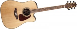 Takamine GD93CE - NAT