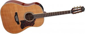 Takamine CRN-TS1 Thermal Top