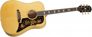 Epiphone USA Frontier - AN