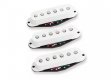 Seymour Duncan STK-S10s YJM Fury Set - WH