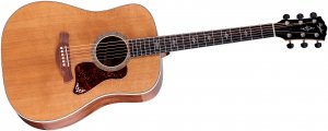Taylor Gold Label 810e