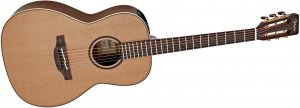 Takamine P3NY