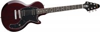 Gibson Les Paul Music City Special 50th Anniversary - WR