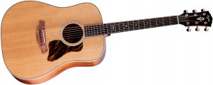 Taylor Gold Label 510e