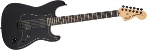 Fender Jim Root Stratocaster