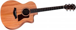 Taylor 24ce