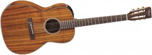 Takamine EF407 Legacy Series