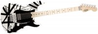 EVH Striped - WH