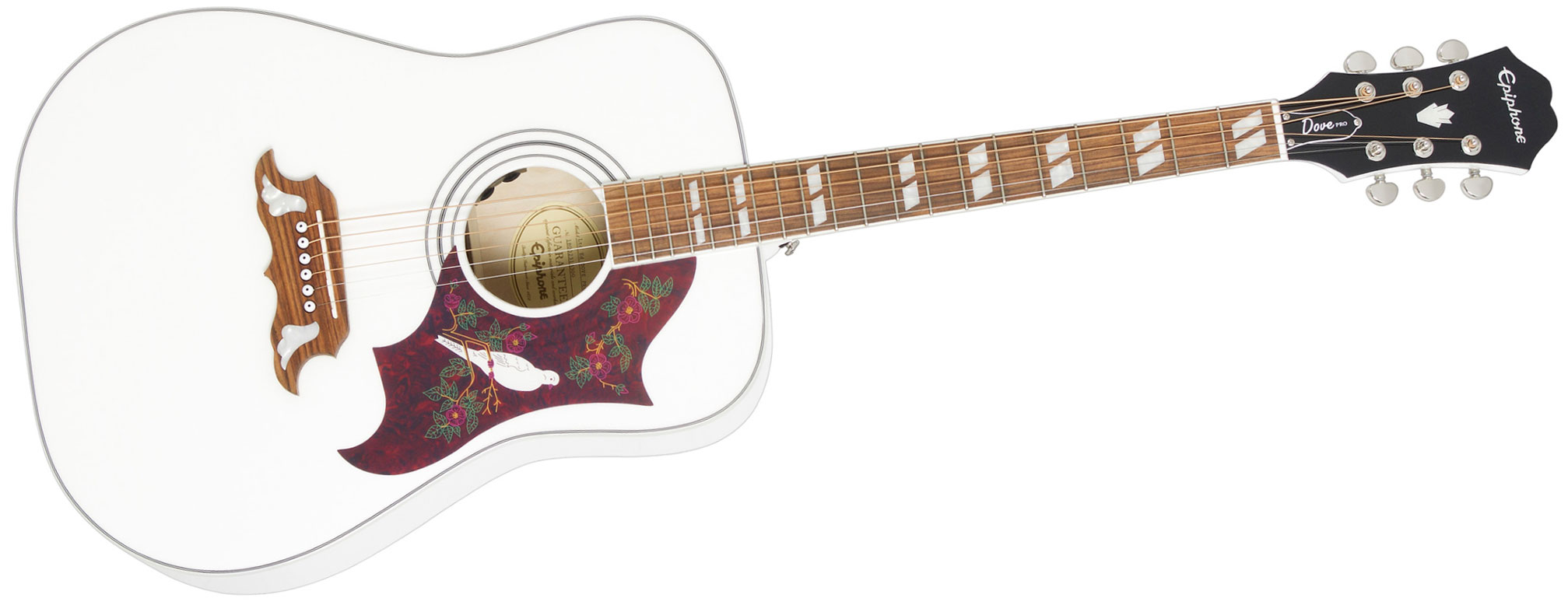 ギター Epiphone GUARANTEED Ltd ED DOVE PRO/AW Epiphone GUARANTEED Ltd ED DOVE PRO/AW（Epiphone Limited