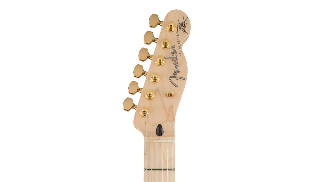 Fender Richie Kotzen Telecaster - Brown Sunburst | Gino Guitars