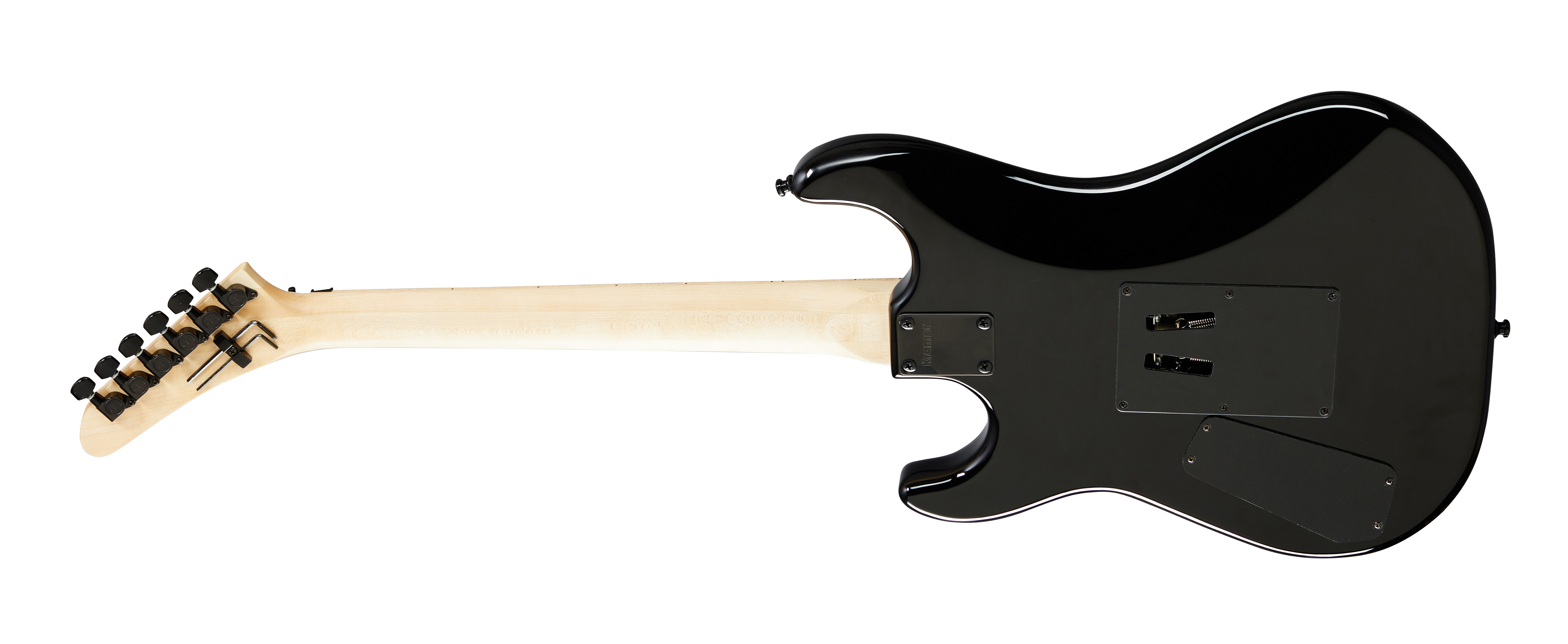 Feral Original Custom Guitar カスタムギター ワイルド バースト