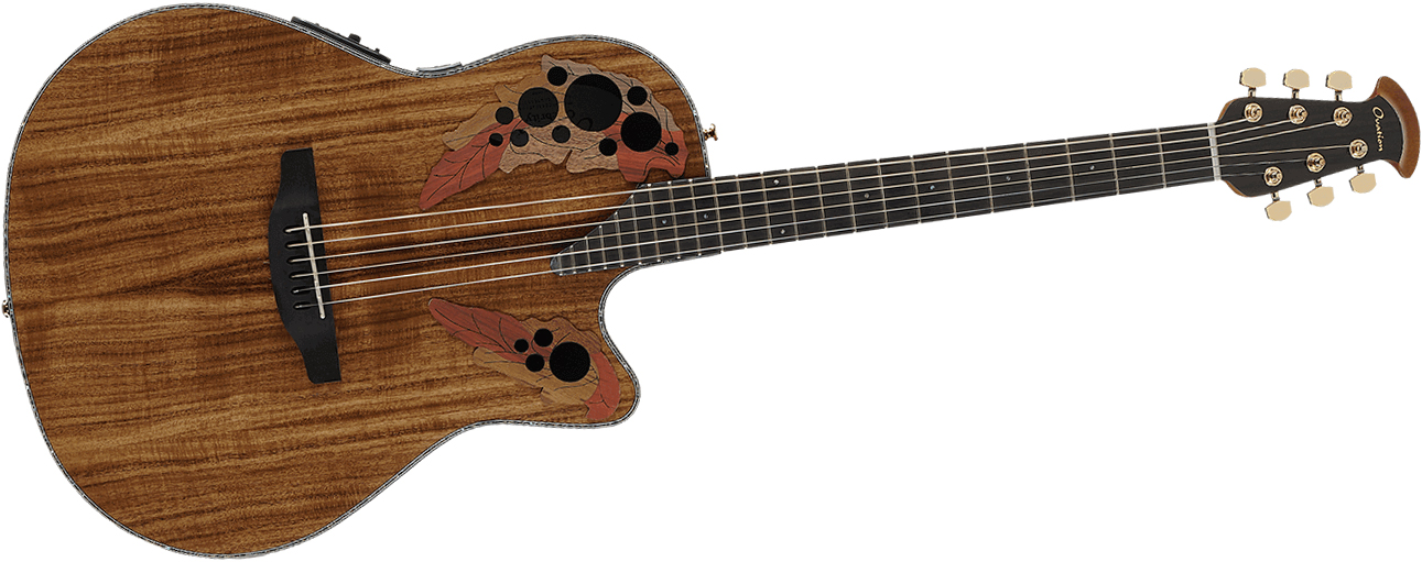 新しいブランド Ovation 修理必須品（【簡単解説】オベーション FKOA CE44P ギター