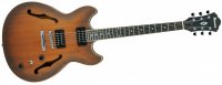 Ibanez AS53 - TF