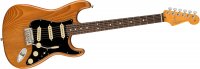 Fender American Professional II Stratocaster - RW RPN