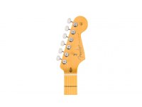 Fender American Professional Classic Stratocaster - MN FFG
