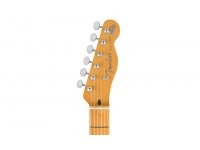 Fender Brad Paisley Road Worn Telecaster