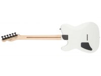 Fender Jim Root Telecaster