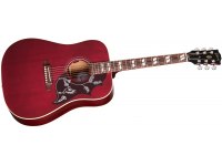 Gibson Hummingbird Special - WR