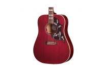 Gibson Hummingbird Special - WR