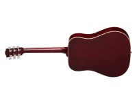 Gibson Hummingbird Special - WR