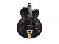 Ibanez PM3C-BKL Pat Metheny Signature