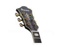 Ibanez PM3C-BKL Pat Metheny Signature
