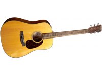 Martin D-12E Retro